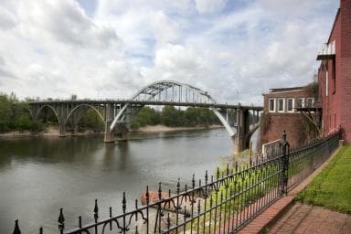 Selma to Montgomery in 1965: The Marches That Forced a Voting Rights Law